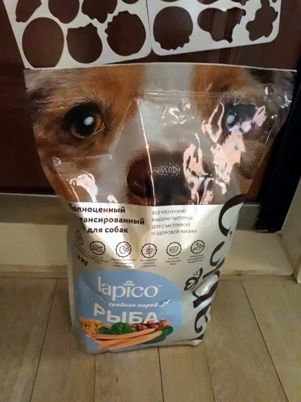 Отзыв о корме Лапико для собак