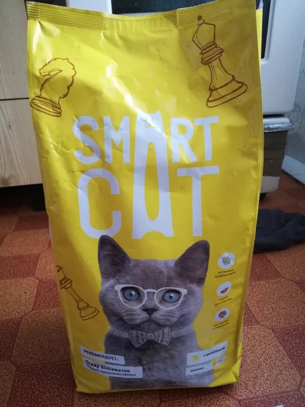 Отзывы о корме Smart Cat для котят