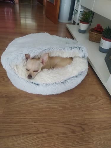 Теплая лежанка для собак - фото