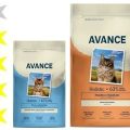 Корм для кошек Avance: отзывы, разбор состава, цена