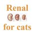 ХПН у кошек: какой лечебный корм Renal выбрать