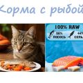 Корма с рыбой для кошек