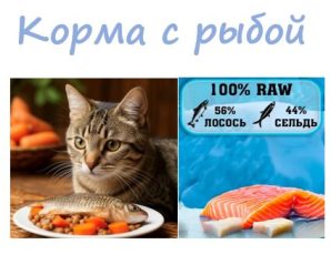 Корма с рыбой для кошек
