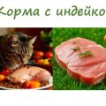 Сухие корма с индейкой для кошек