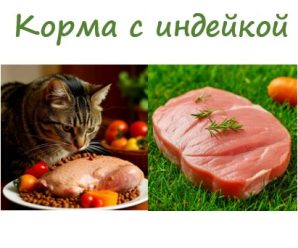 Корма с индейкой для кошек