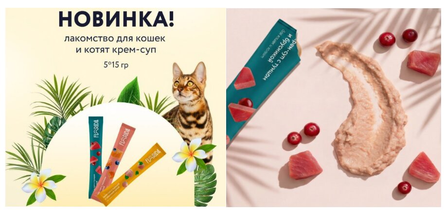 krem-sup-dlya-koshek-florida