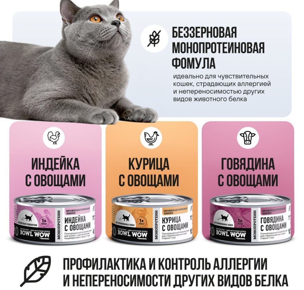 Консервы Bowl Wow для кошек